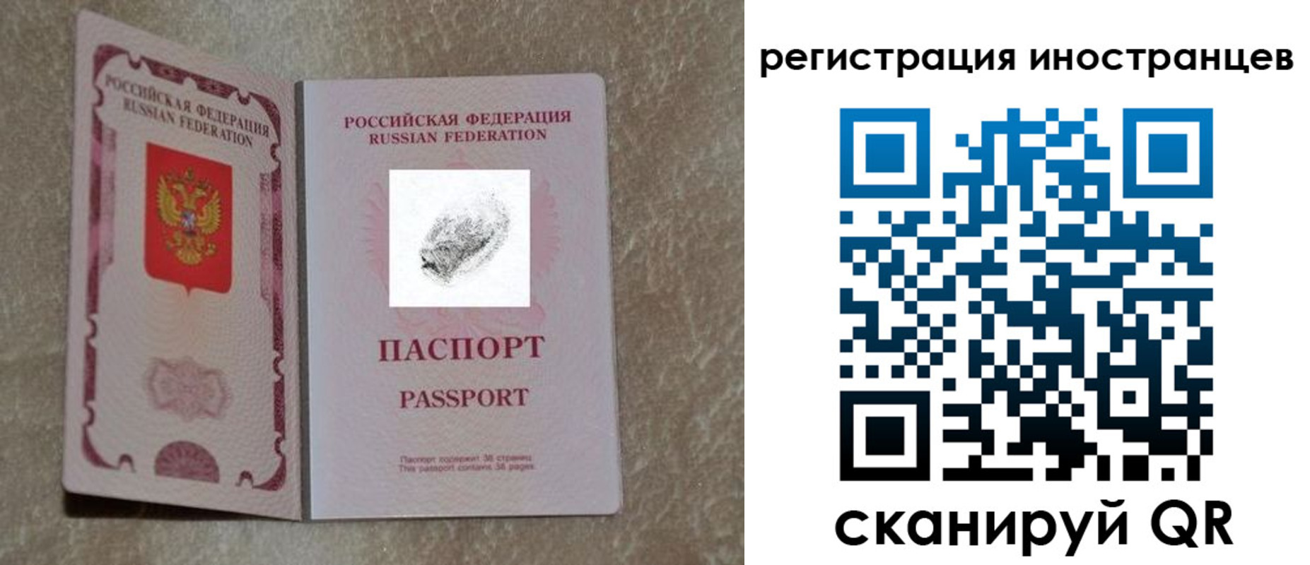 прописка законно в Липецкая области